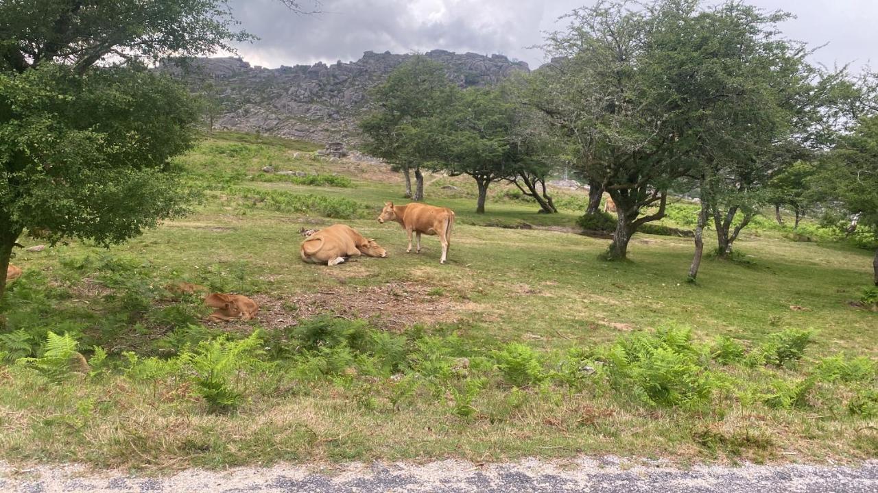 Geres River - Apartamento Na Natureza Esterno foto